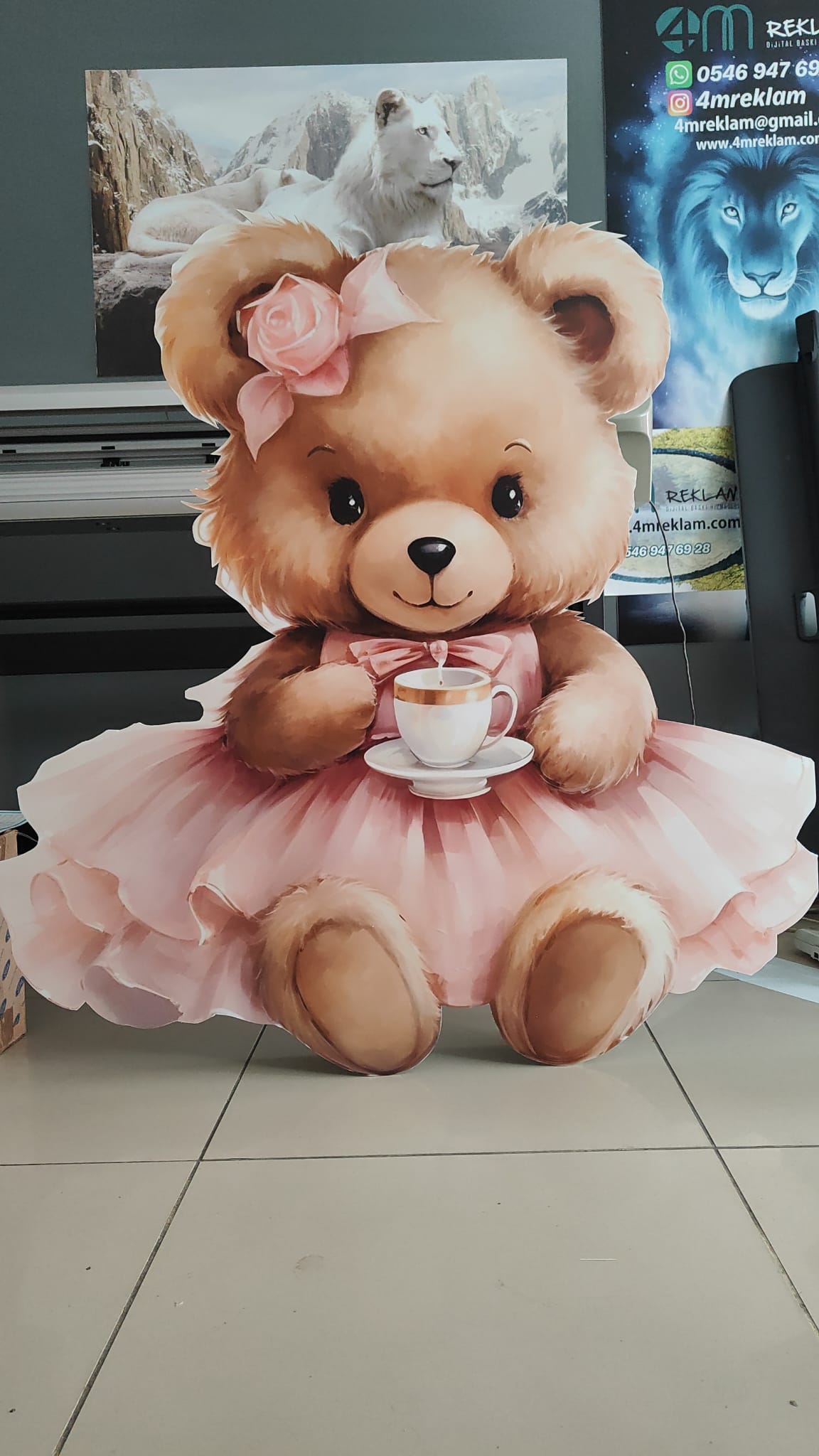 Catout concept uygulamaları